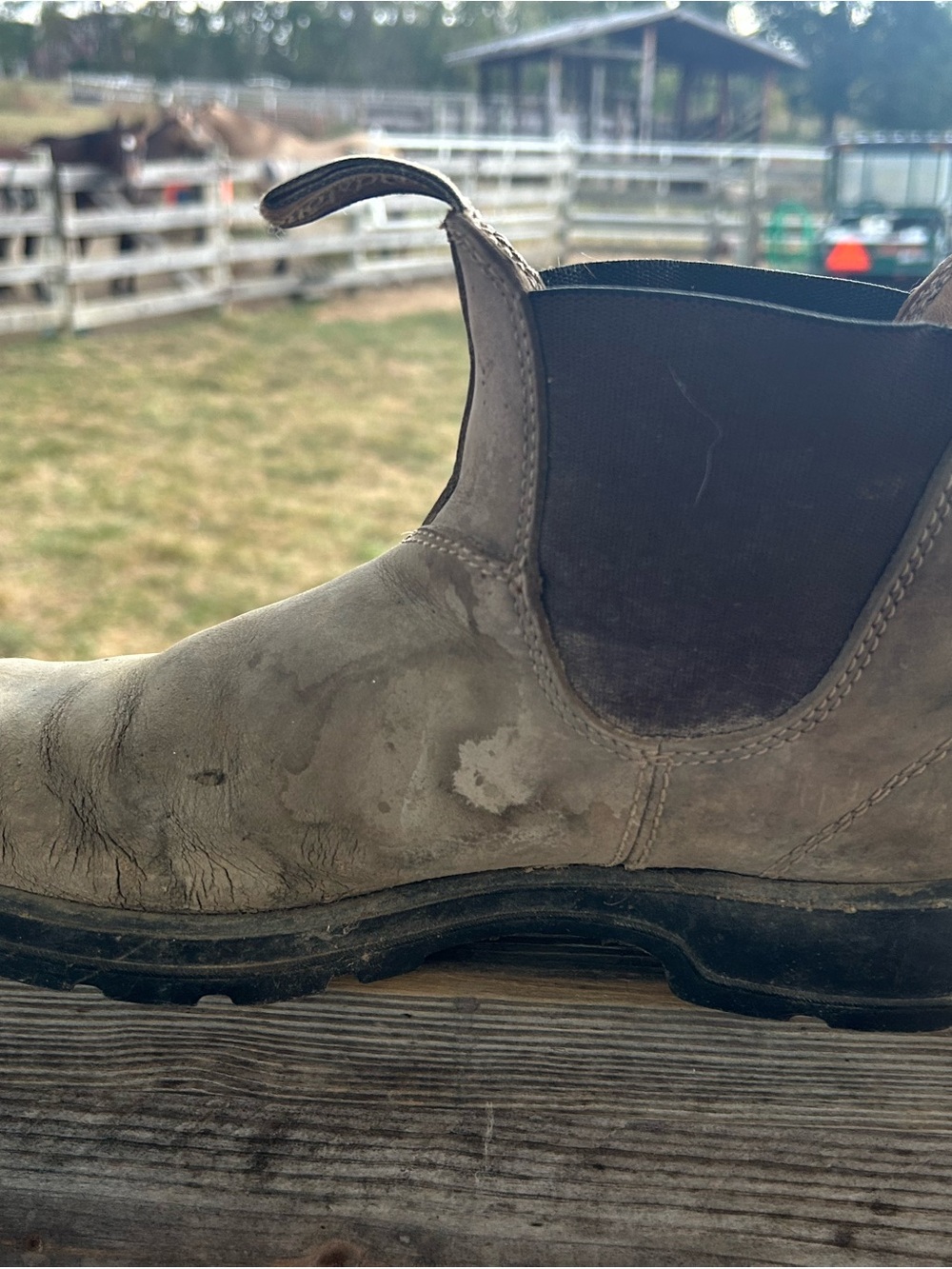 Blundstone Taupe Chelsea Boot with Dark Elastic Panels
